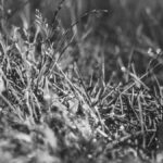 Docker Model Runner: اجرای محلی و امن مدلهای هوش مصنوعی