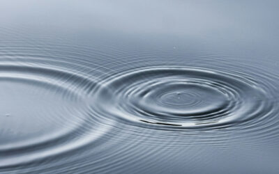 Ripple: فریم‌ورک جدید فرانت‌اند با ترکیب React و Svelte