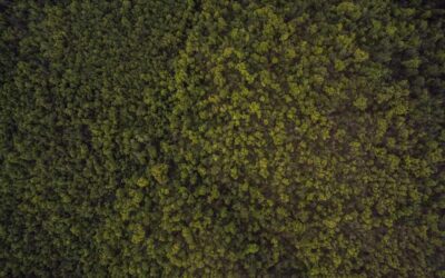 بازاریابی دیجیتال و سئو: بک‌لینک، اعتبار برند و رتبه‌بندی