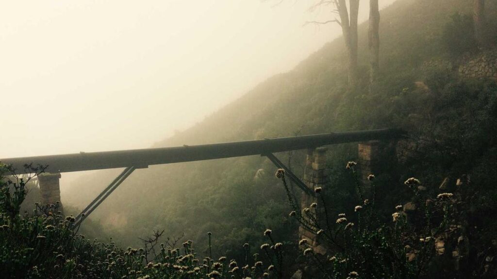 تحولات در توسعه نرم‌افزار: هوش مصنوعی و آینده GitHub