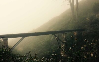 تحولات در توسعه نرم‌افزار: هوش مصنوعی و آینده GitHub