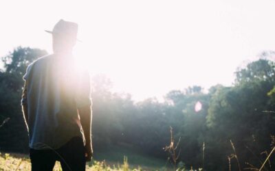 رشد سرسام‌آور ترافیک مبتنی بر هوش مصنوعی: فرصتی برای کسب‌وکارها