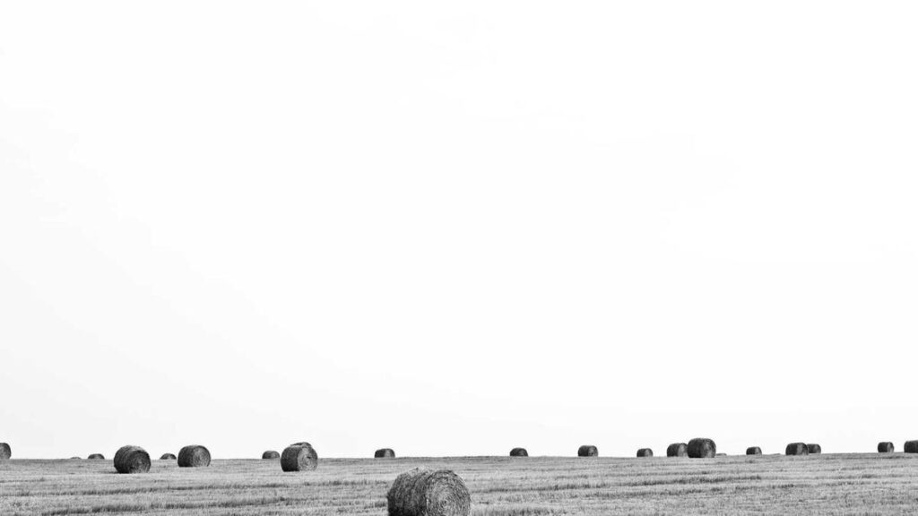 هوم اسیستنت: انقلاب اتوماسیون خانگی متن‌باز در عصر هوش مصنوعی