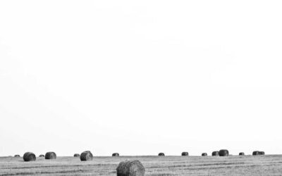 هوم اسیستنت: انقلاب اتوماسیون خانگی متن‌باز در عصر هوش مصنوعی